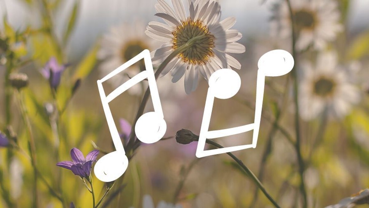 OFFENER NACHMITTAG: Sommerlieder und -gedichte