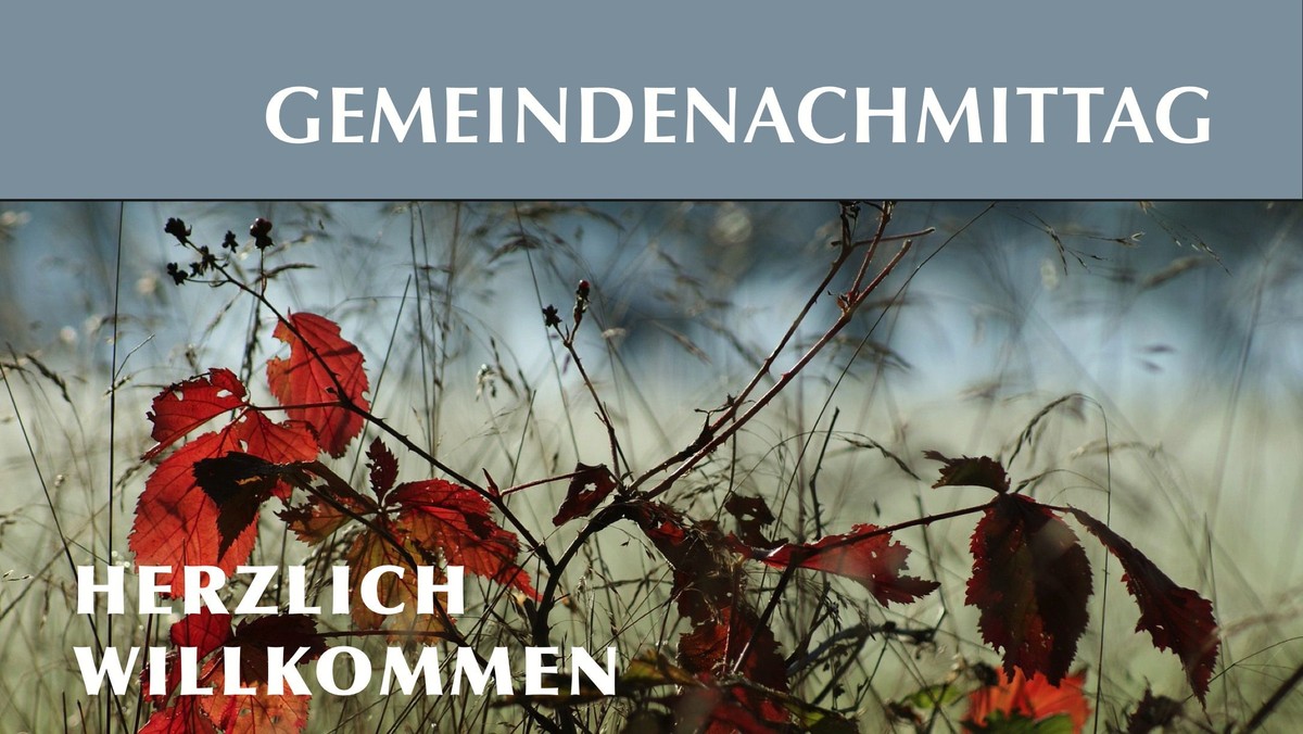 Gemeindenachmittag