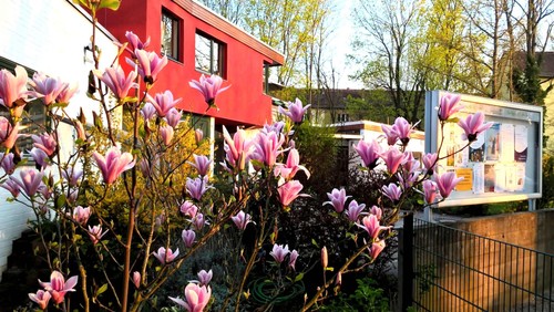Foto: Joachim Heyer