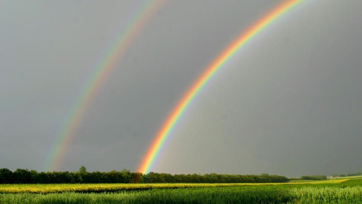 Familiengottesdienst unter dem Regenbogen