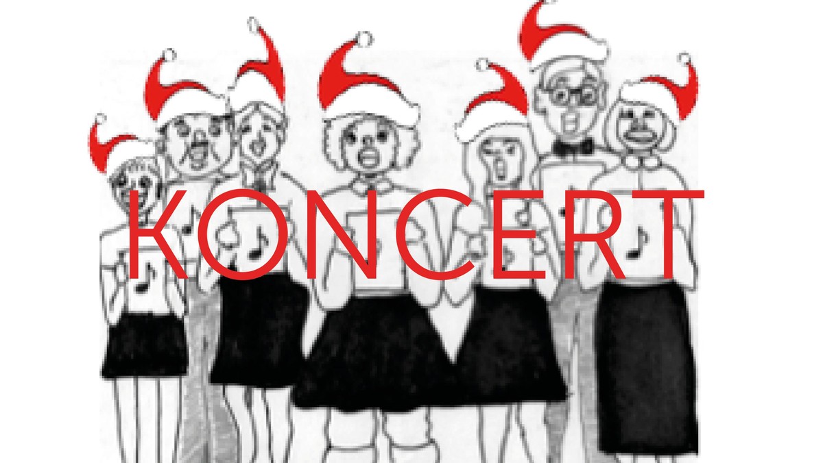 DVL's julekoncert