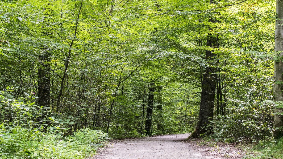 Ökumenische Bibelwanderung