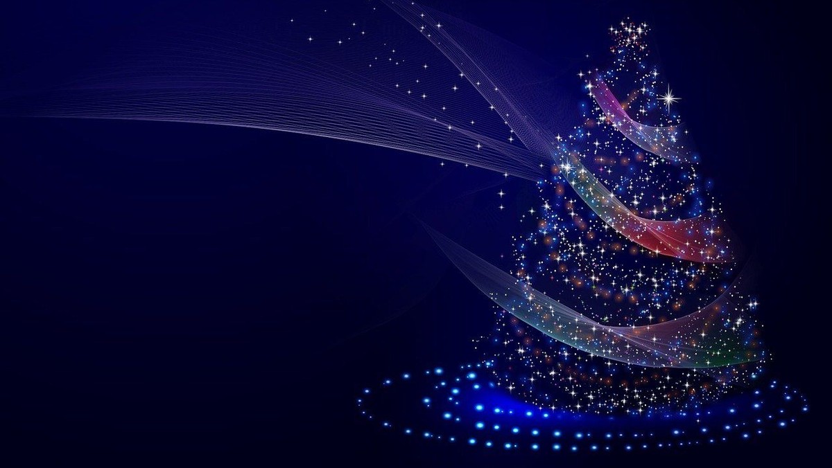 Rudolf Steiner Skolens julekoncert