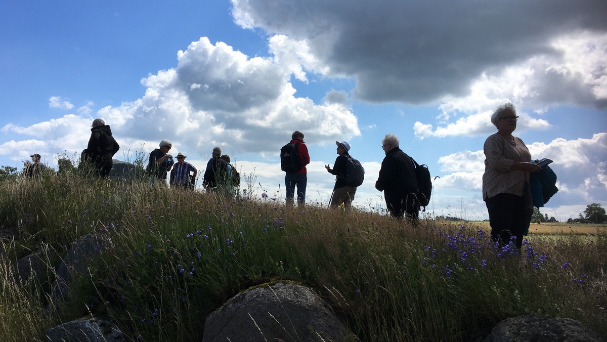 Pilgrimsvandring ved Præstø v. Elizabeth Knox-Seith