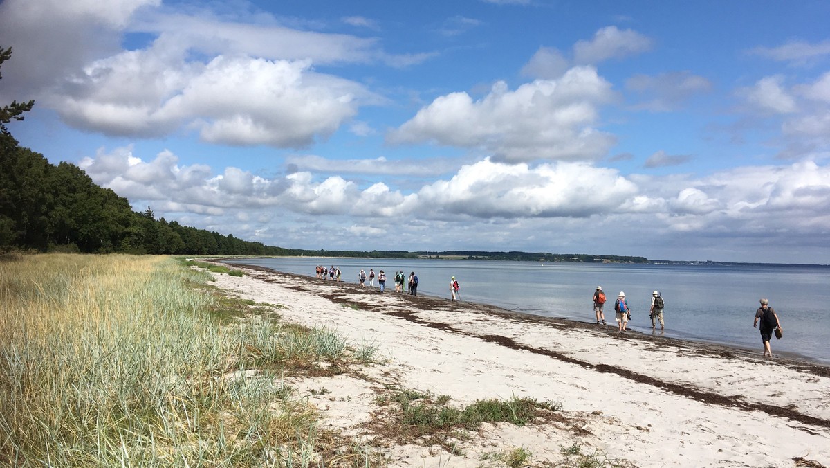 Pilgrimsvandring ved Ulvshale v. Elizabeth Knox-Seith