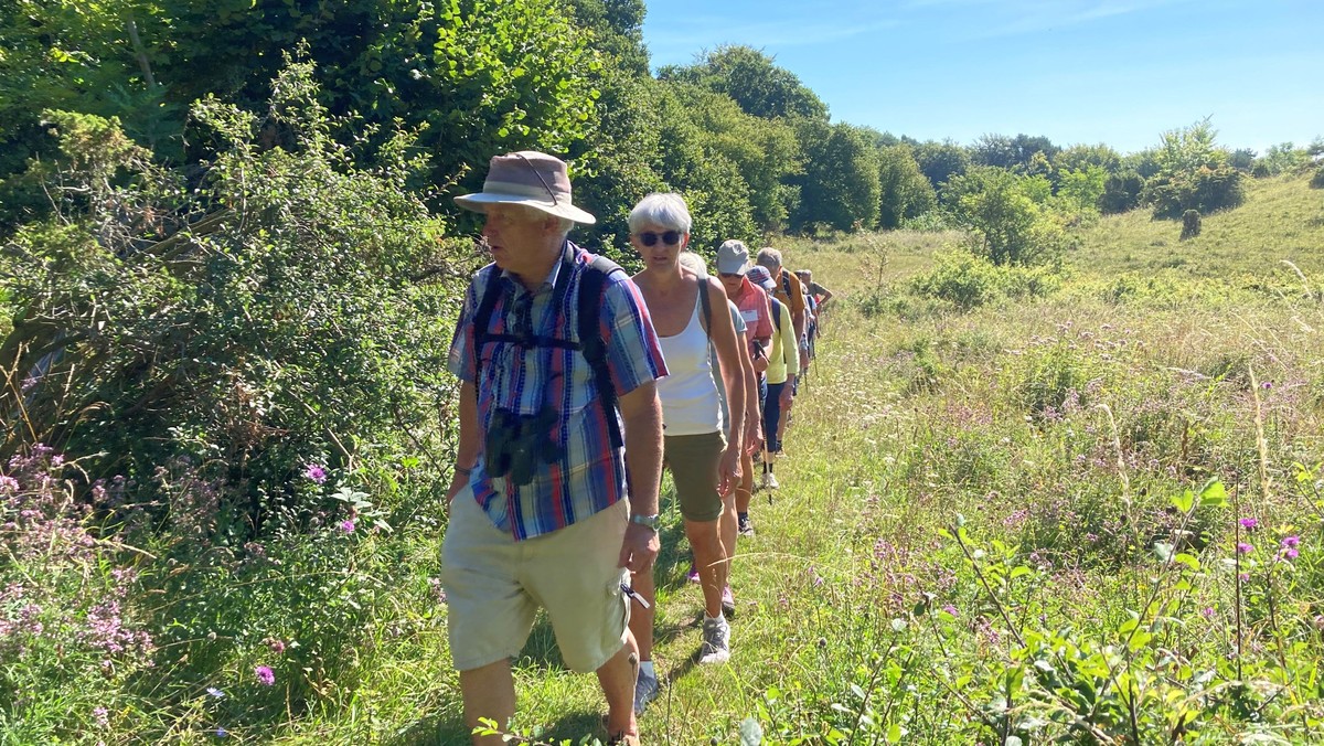 Pilgrimsvandring ved Avnø v. Elizabeth Knox-Seith