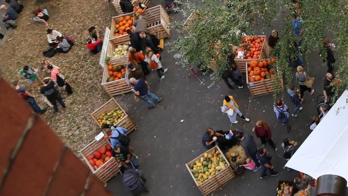 Kürbisfest mit Offener Kirche und Kurzkonzerten