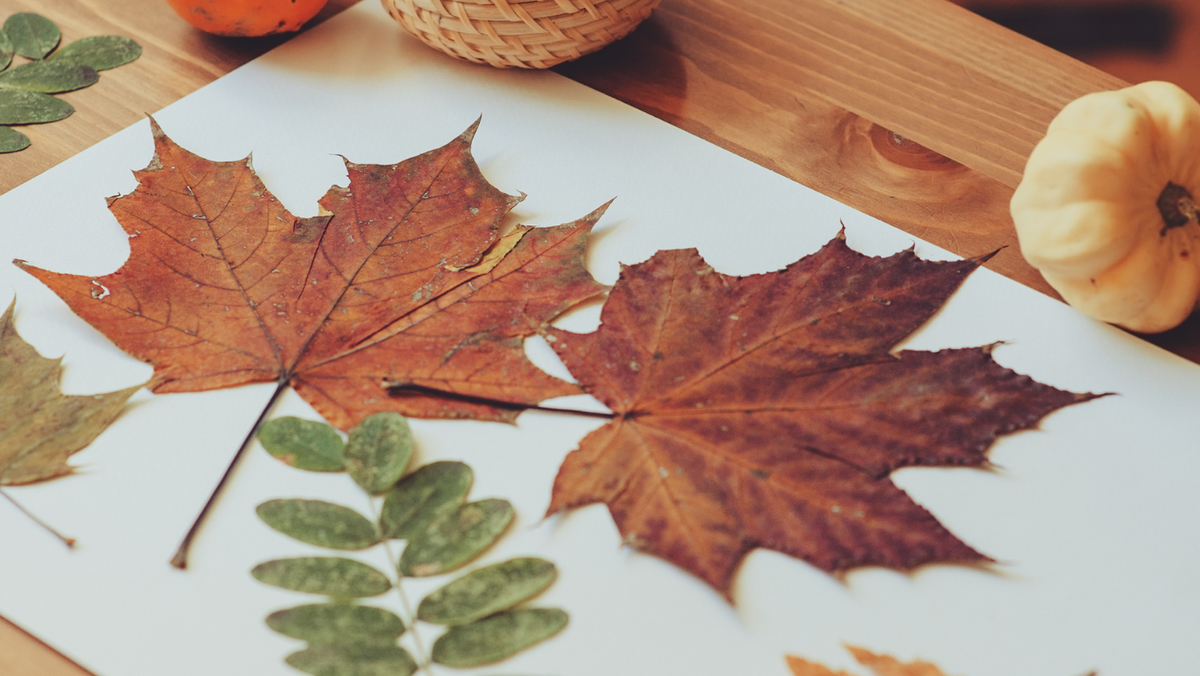 Gartenwerkstatt: Nachhaltiges Herbstbasteln