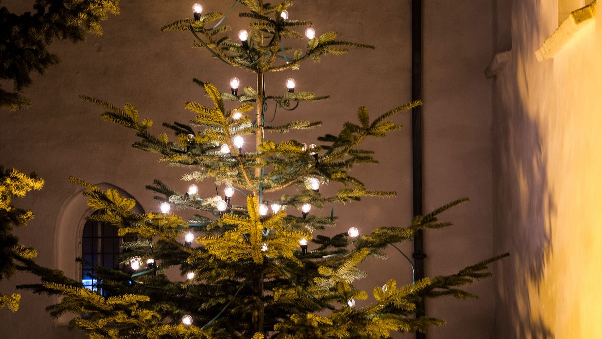 Julekoncert med kirkens børnekor og ungdomskor