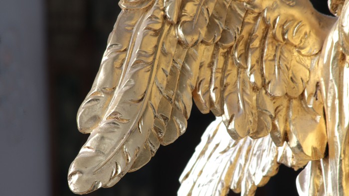 Guldfarvet ørn med udbrede vinger