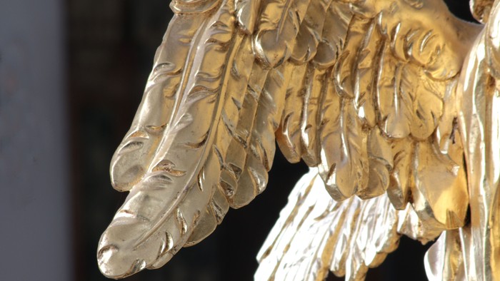 Guldfarvet ørn med udbrede vinger