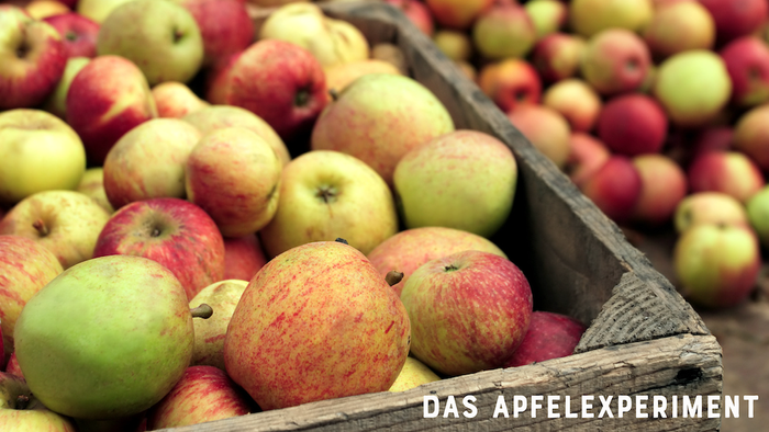 Ein Korb voller bunter Äpfel