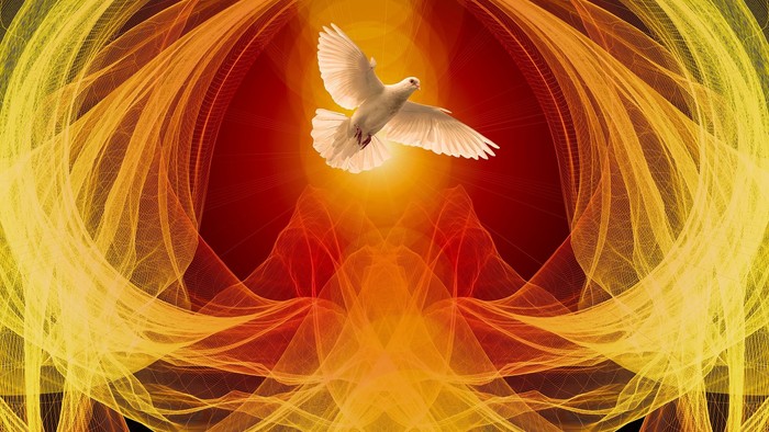 A white dove flies through a vibrant, colorful vortex.