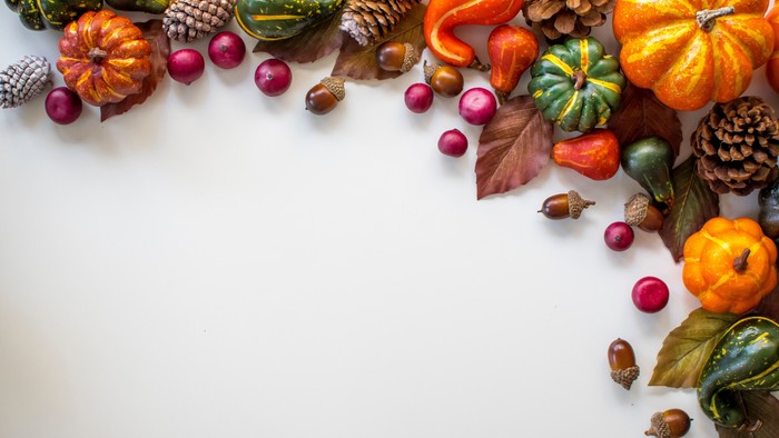 Autumn-themed border with pumpkins, leaves, pinecones, and berries