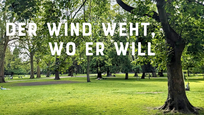 Ein Park mit Bäumen und Gras, der Wind weht wo er will