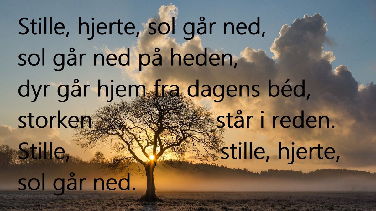 Stillegudstjeneste