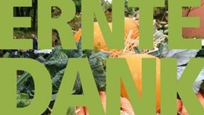 Das Bild zeigt das Wort "ERNIE DANKE" aus grünen und orangefarbenen Pappstreifen.