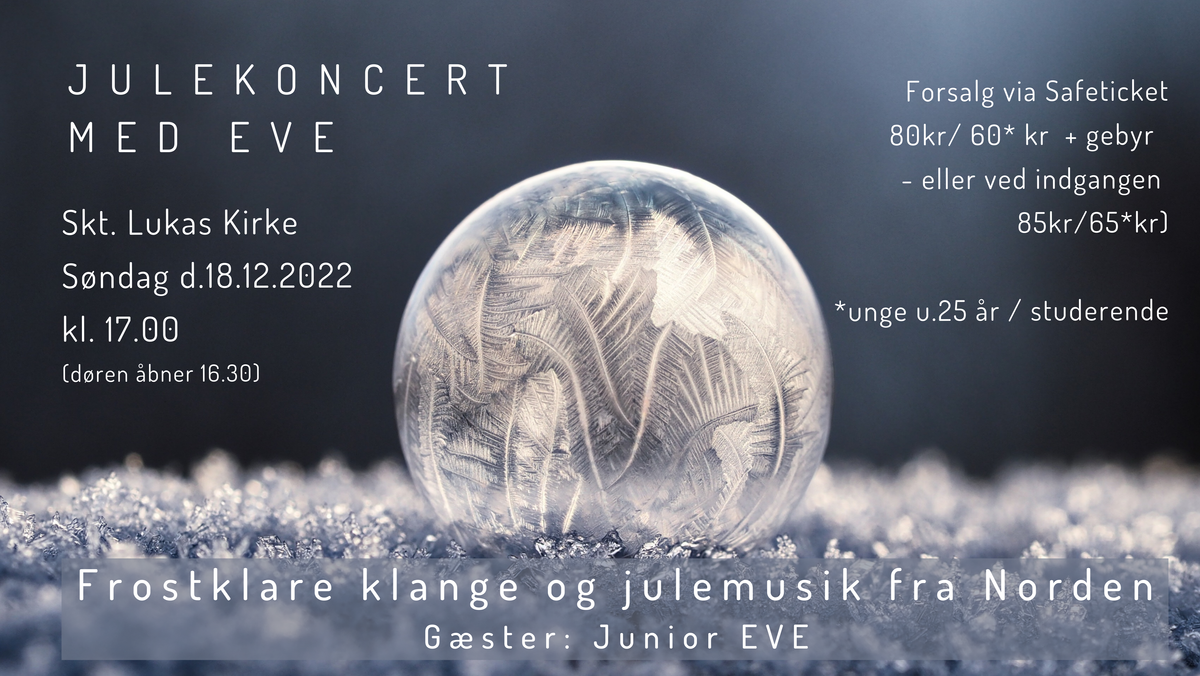 Julekoncert med EVE