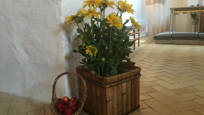 En blomstekasse med gule blomster og en kurv med æbler i kirkegård