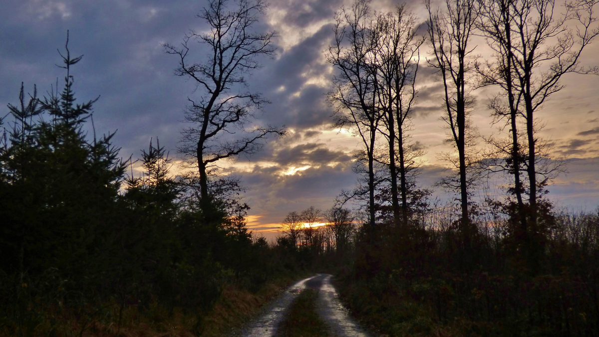 Morgensang