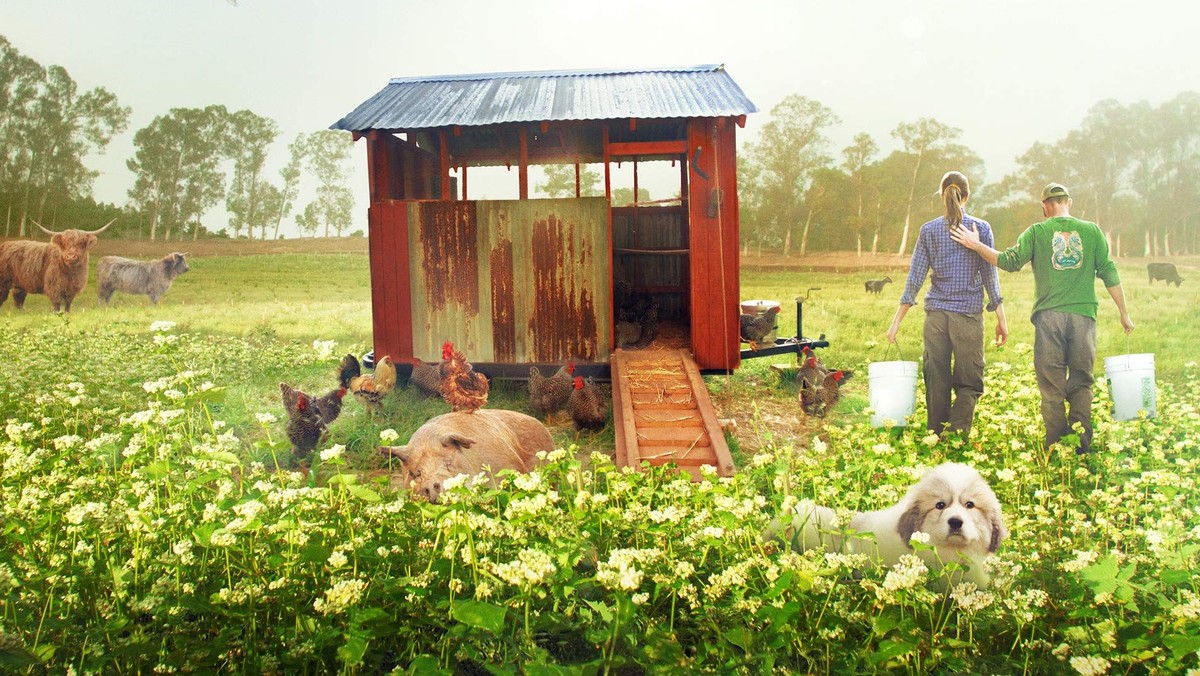 Kirkebio: The Biggest, Little Farm