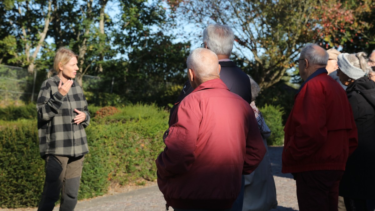 'Gran'-tour - Rundvisning på Kirkegården