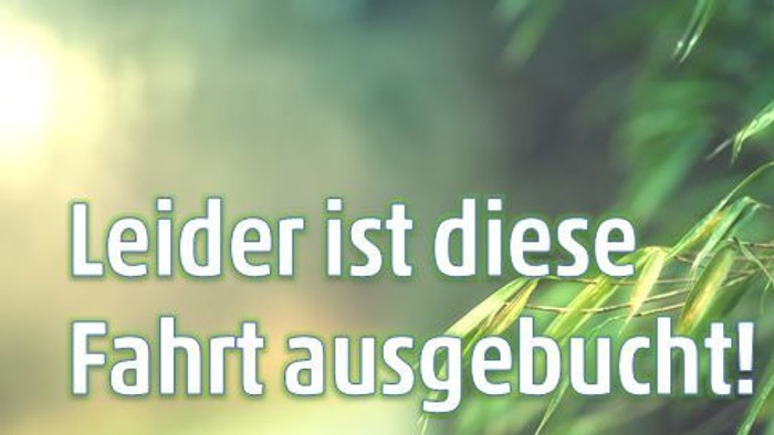 Das Bild zeigt grüne Blätter mit einem hellen Sonnenlicht-Effekt und einem deutschen Textüberlagerung.