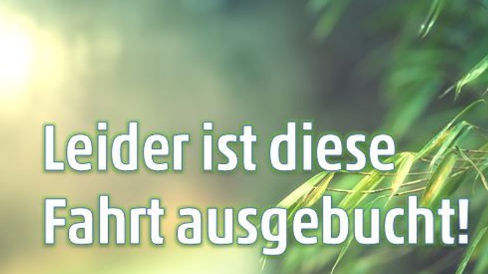 Das Bild zeigt grüne Blätter mit einem hellen Sonnenlicht-Effekt und einem deutschen Textüberlagerung.