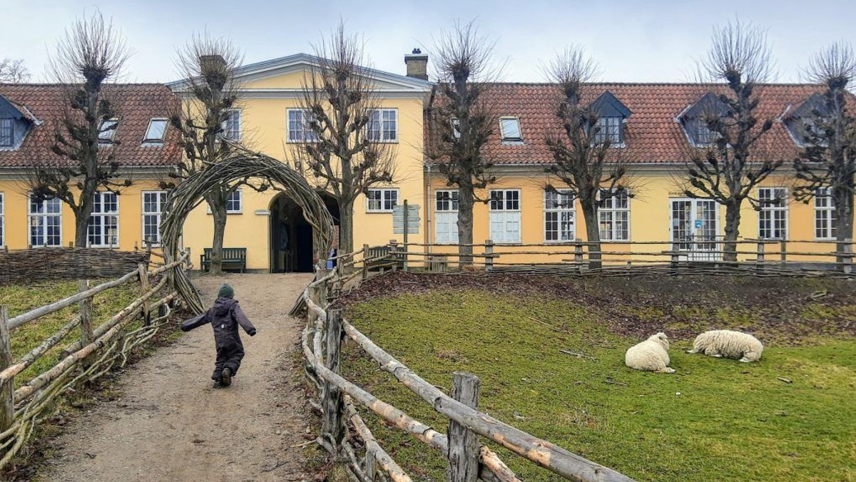 Fredagstræf udflugt
