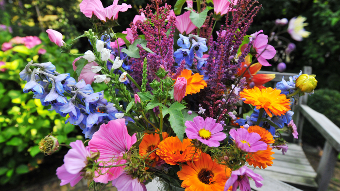 Bunter Blumenstrauß mit rosa, orange, blauen und gelben Blumen