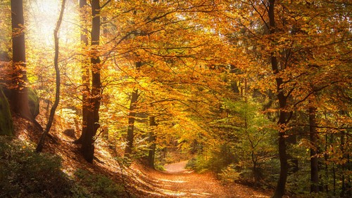pixabay.de