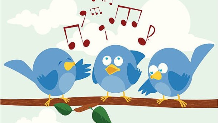 Tre blå fugle synger på gren med musiknoter i luften