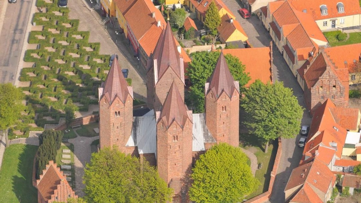 Sognemøde
