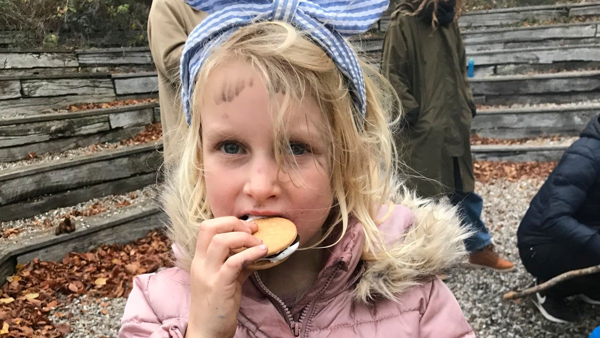 Apostelkirkens menighedslejr