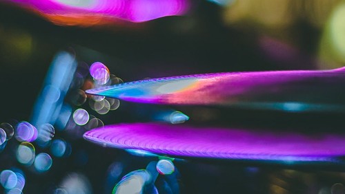 Israel Palacio / unsplash