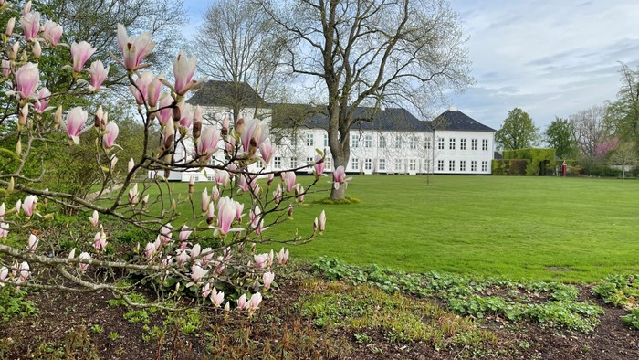 En stor, grøn have med blomstrende magnoliatræer og et stort, klassisk hus i baggrunden