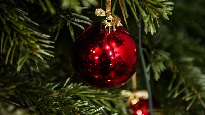 En rød glaskugle hænger i en juletræ.