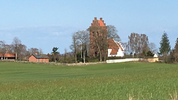 En grøn åkke med et stort hus med røde tag og en kælder i baggrunden
