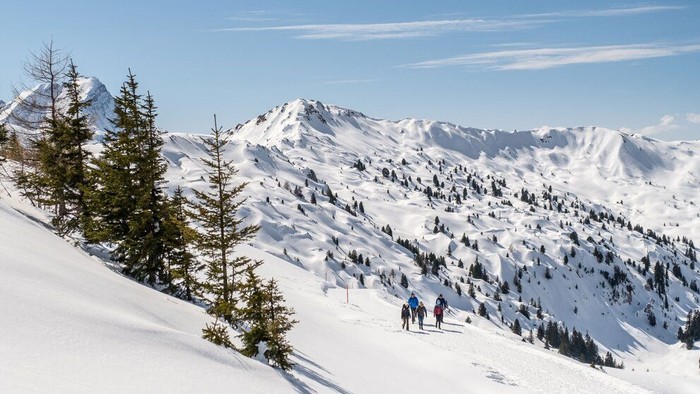 Des skieurs descendent une montagne enneigée sous un ciel bleu clair.