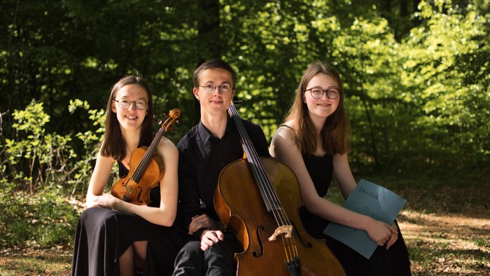 Tre unge musikere med violin og cello i skoven