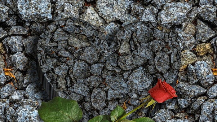 En rød rose med grønne blade ligger på en stenmur