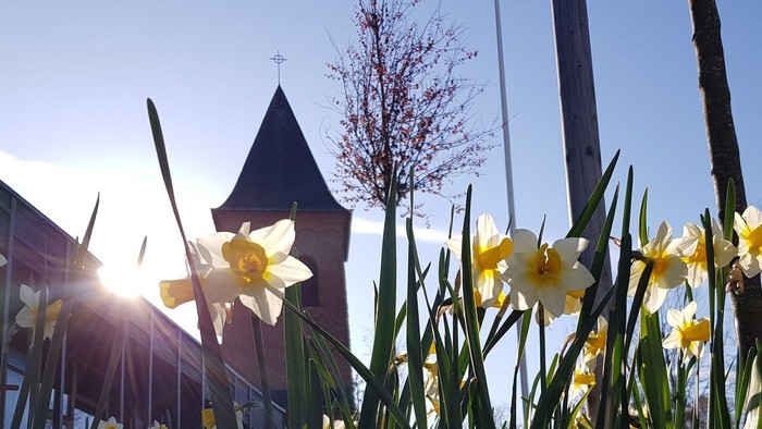 Solskin og kirke med blomster i forgrunden