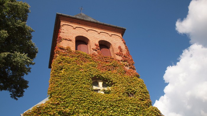 Tårn dækket af grønne planter under blå himmel