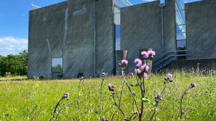 Moderne bygning i grønne marker med blomster.