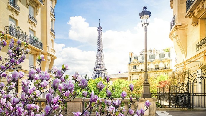 Paris med Eiffeltårnet og blomster.