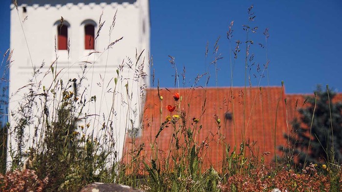Et hvidt hus med to vinduer og en rød mursten med græs og planter foran