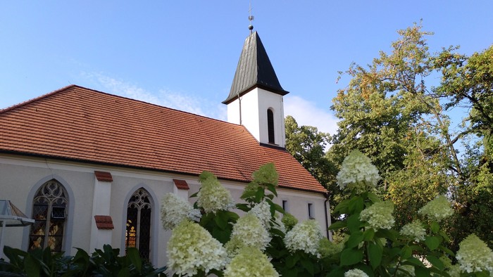 Weiße Kirche mit hohem Turm und roter Ziegeldach, umgeben von üppigen weißen Blumen und grünen Büschen
