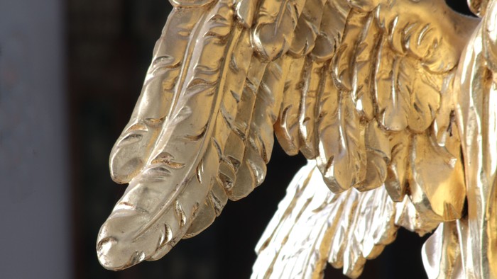 Guldfarvet ørn med udbrede vinger