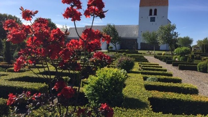 Røde blomster foran hvidt hus med prægtig have