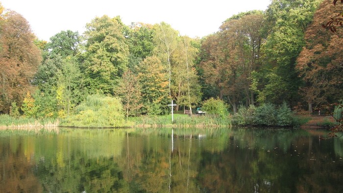 Ein ruhiger Teich umgeben von grünen und gelben Bäumen